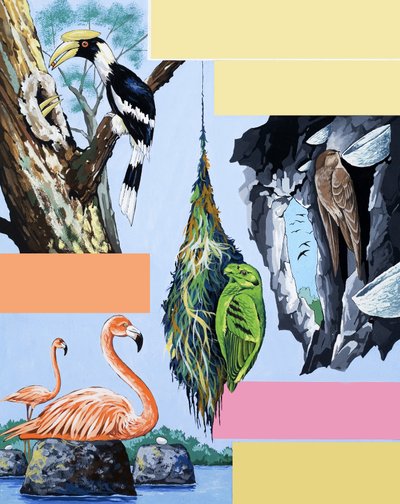 Montaje de aves de English School