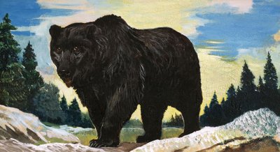 Oso negro de English School