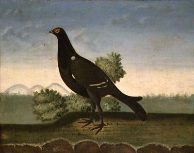 Urogallo negro de English School