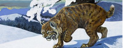Lince rojo de English School
