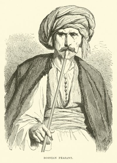 Campesino bosnio de English School