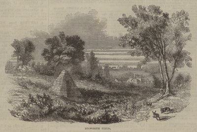 Campo de Bosworth de English School