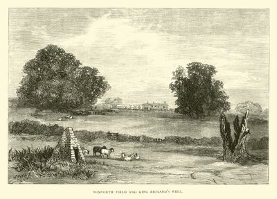 Campo de Bosworth y Pozo del Rey Ricardo de English School