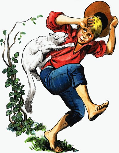 Niño atacado por un gato de English School