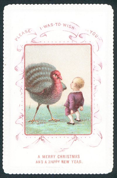 Niño cara a cara con pavo de English School