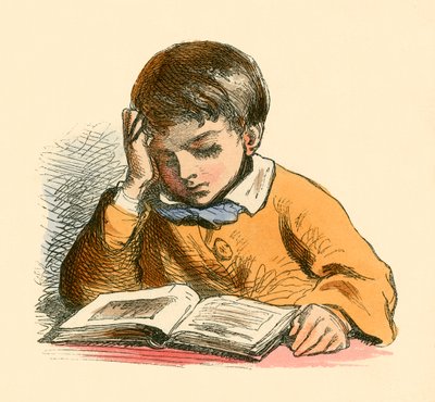Niño leyendo de English School