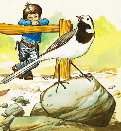 Niño observando un pájaro no identificado de English School