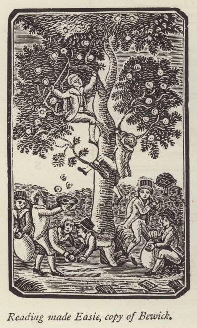 Niños recogiendo manzanas de English School
