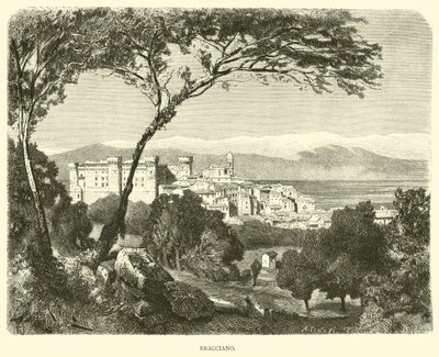 Bracciano de English School