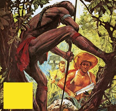 Brasil: el país que talló una ciudad de la jungla de English School
