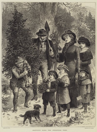 Llevando a casa el árbol de Navidad de English School