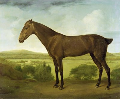 Caballo Marrón en un Paisaje Montañoso, c.1780-1800 de English School