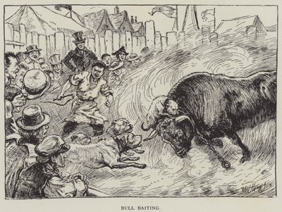 Acoso de toros de English School