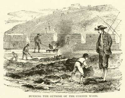Quemando el exterior de la madera común de English School