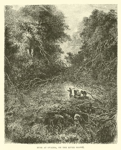 Matorral en Ovamba, en el río Ogowe de English School