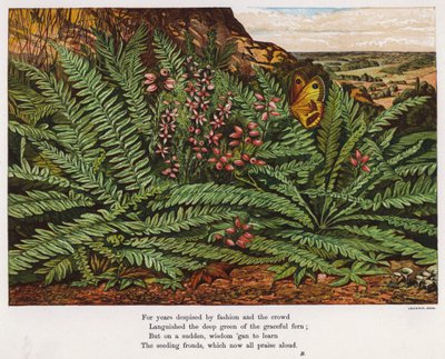 Mariposa y helechos de English School