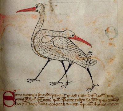 Cigüeña, del Bestiario de English School