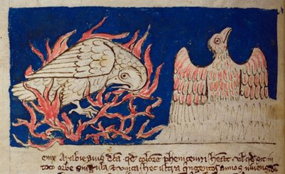 CCA-LitMs/D/10 fol. 17v Fénix, del Bestiario de English School