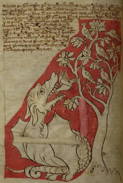 El Árbol Perindens, del Bestiario de English School