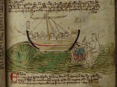 Ballena, del Bestiario de English School