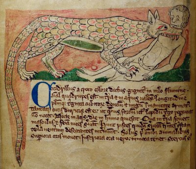 Cocodrilo, del Bestiario de English School