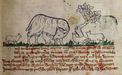 Oveja, del Bestiario de English School