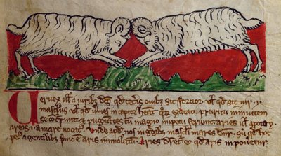 Carnero, del Bestiario de English School