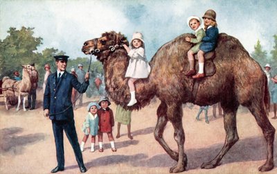 Camello llevando niños, Zoológico de Londres de English School
