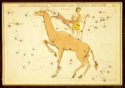 Camelopardalis, Tarandus y Custos Messium, pub. 1825 de English School