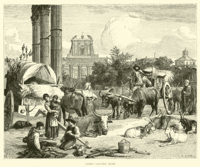 Campo Vaccino, Roma de English School