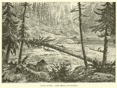 Río Canoe de English School