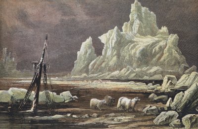 Cabo Omman, Siberia del Norte de English School