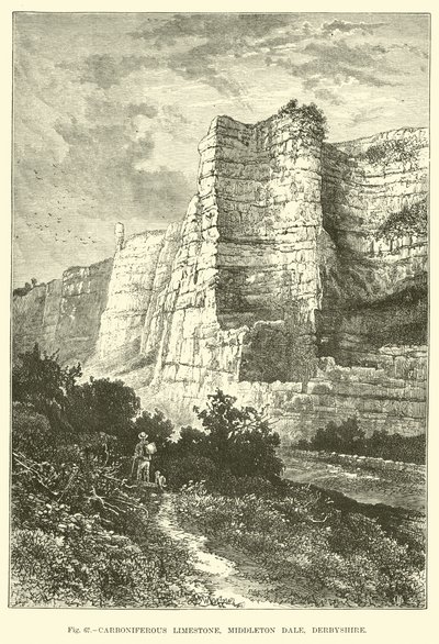 Caliza Carbonífera, Middleton Dale, Derbyshire de English School