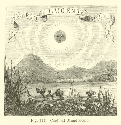 Cardenal Mandruccio de English School
