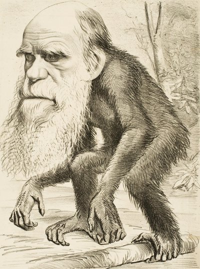 Caricatura de Charles Darwin de English School