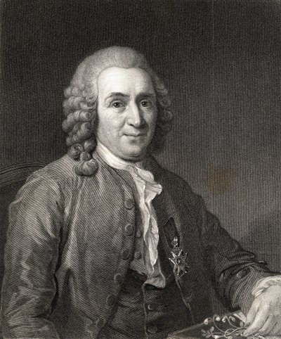 Carl von Linne o Linnaeus (1707-78) de Gallery of Portraits, publicado en 1833 de English School