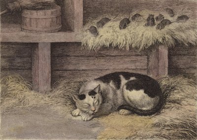 Gato y ratones en un granero de English School