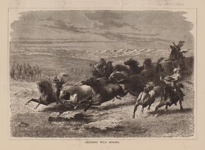 Cazar caballos salvajes (grabado) de English School