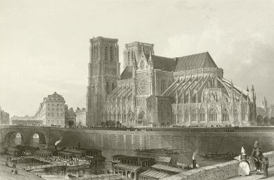 Catedral de Notre Dame - París de English School
