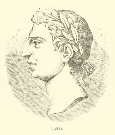 Cato de English School