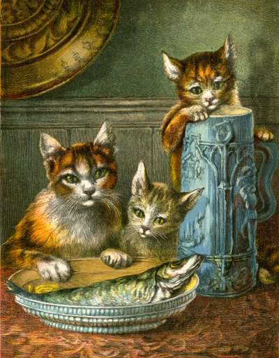 Gatos, no tocar de English School