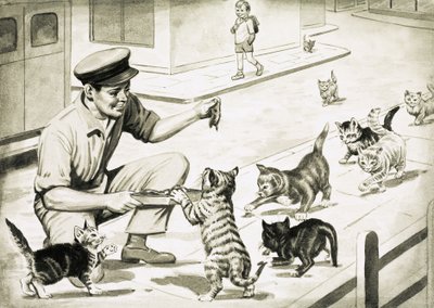 Los gatos vienen a saludar al hombre de la carne de gato de English School