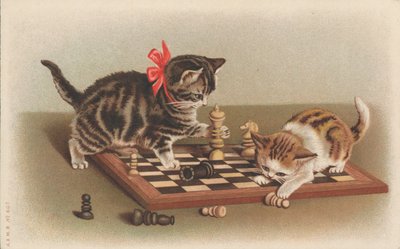 Gatos jugando al ajedrez de English School