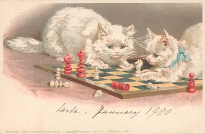 Gatos jugando al ajedrez de English School