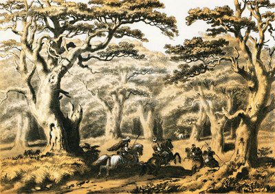 Cedros del Líbano de English School