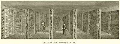Bodegas para almacenar vino de English School