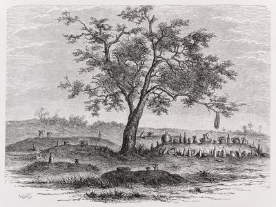 Cementerio y árbol sagrado en Mbinda, de 