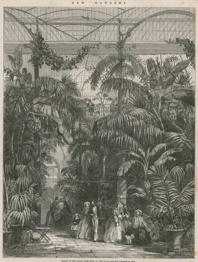 Centro de la Gran Casa de las Palmas en los Jardines Botánicos Reales de Kew de English School
