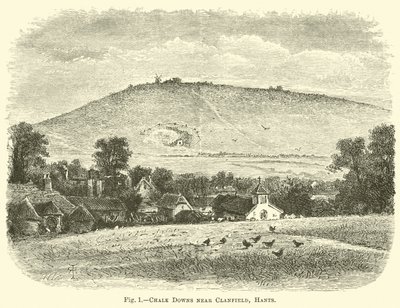 Colinas de tiza cerca de Clanfield, Hants de English School