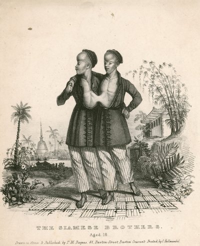 Chang y Eng, los jóvenes siameses, de 18 años de English School